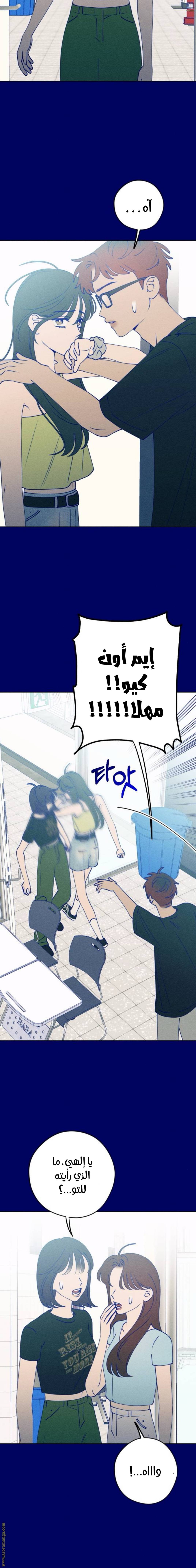 الصفحة 13