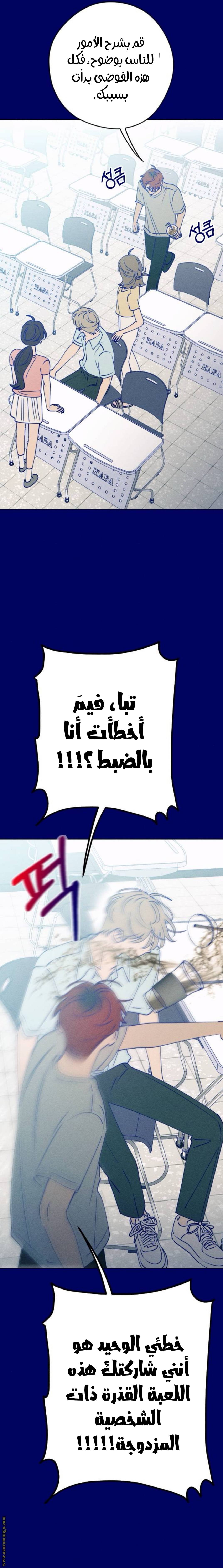 الصفحة 17