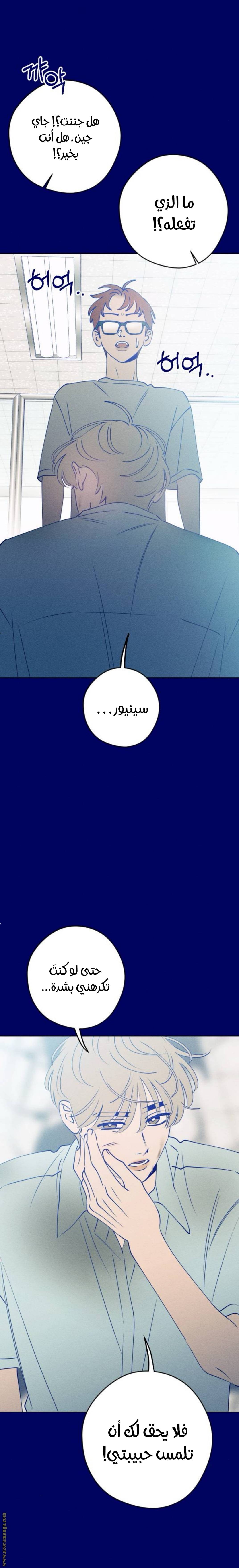 الصفحة 18
