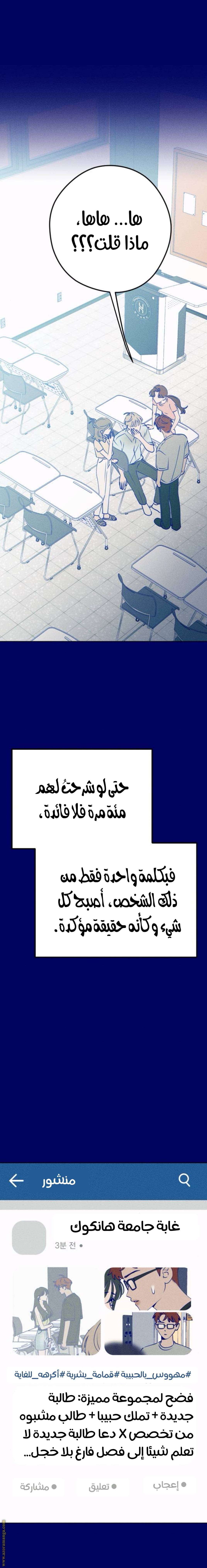 الصفحة 19
