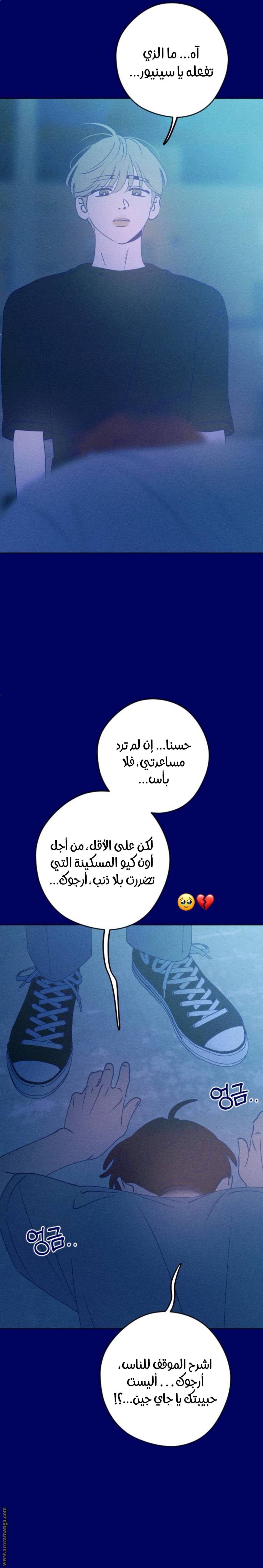 الصفحة 21