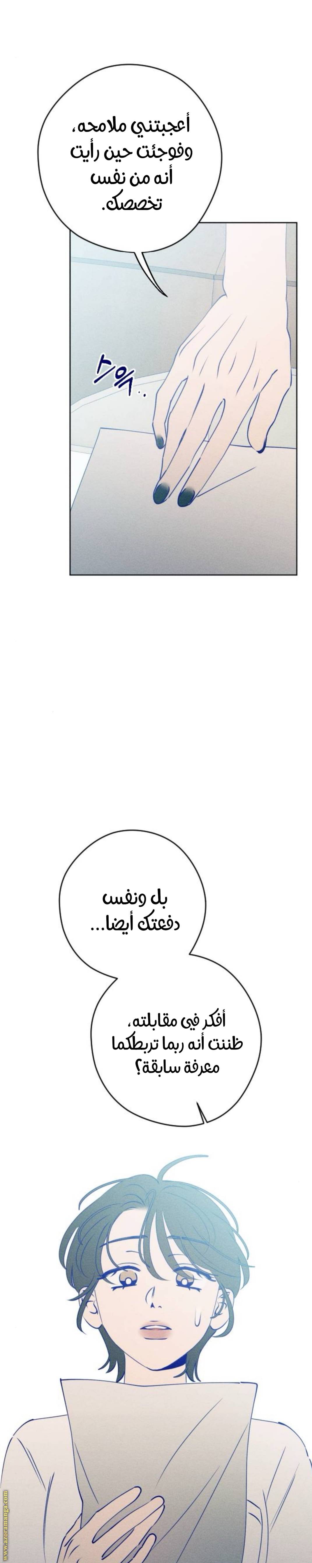 الصفحة 29