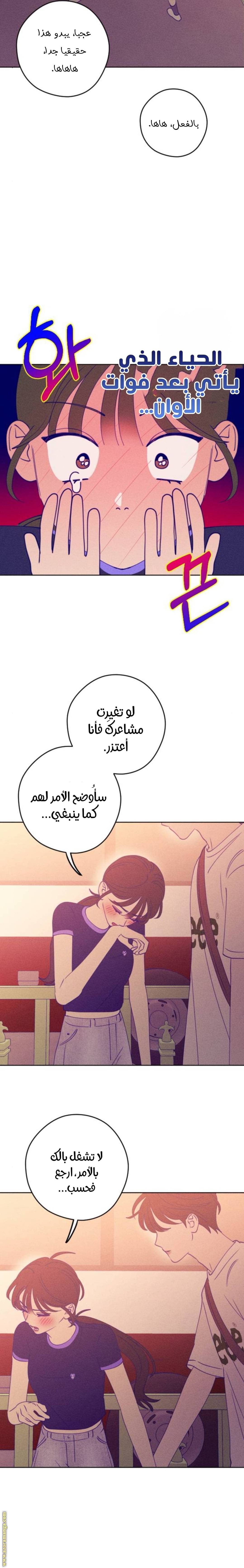الصفحة 8