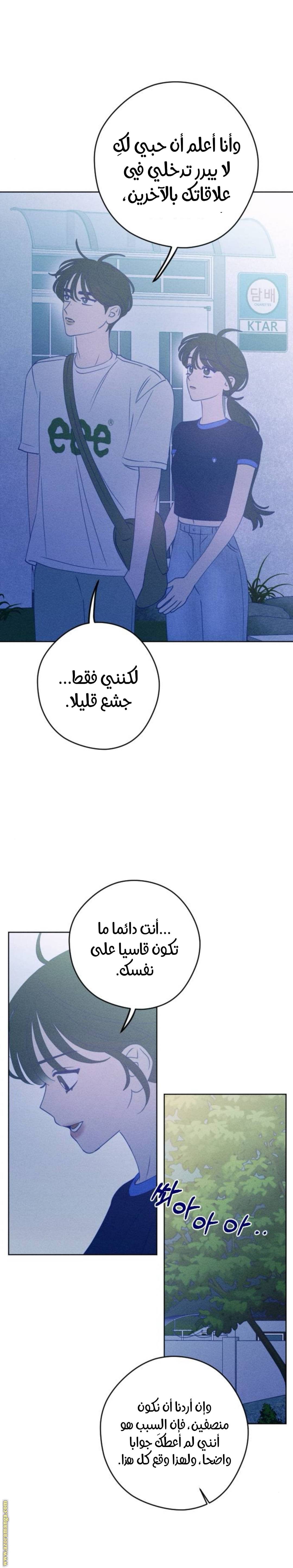 الصفحة 21