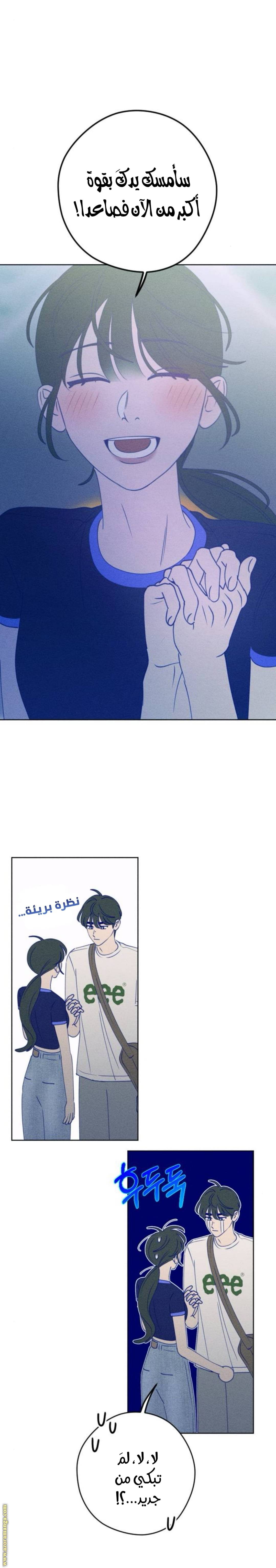 الصفحة 26
