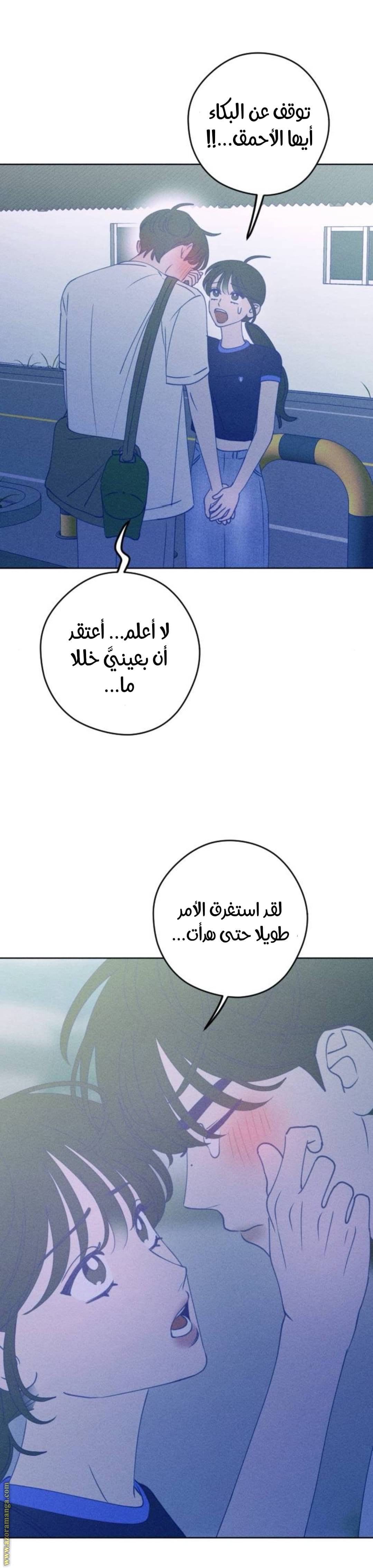 الصفحة 27