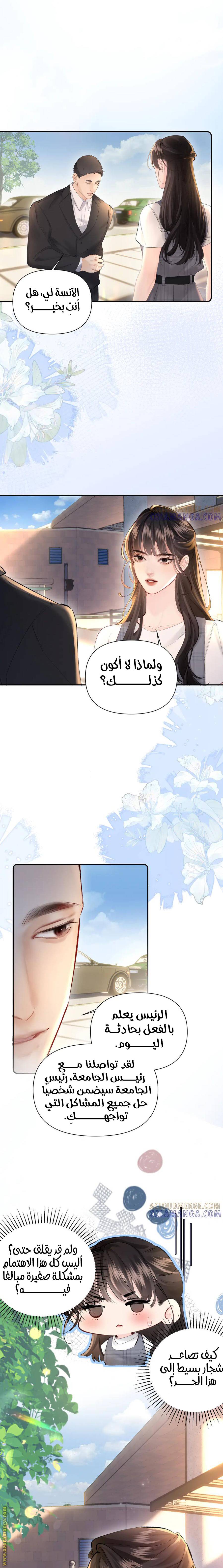 الصفحة 5