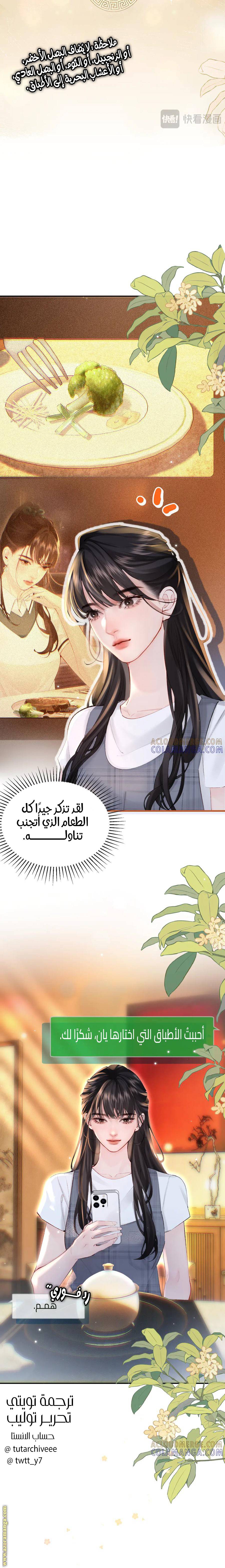 الصفحة 13