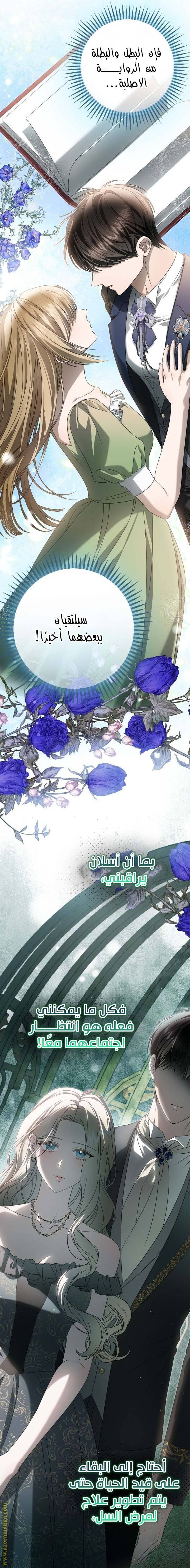 الصفحة 14