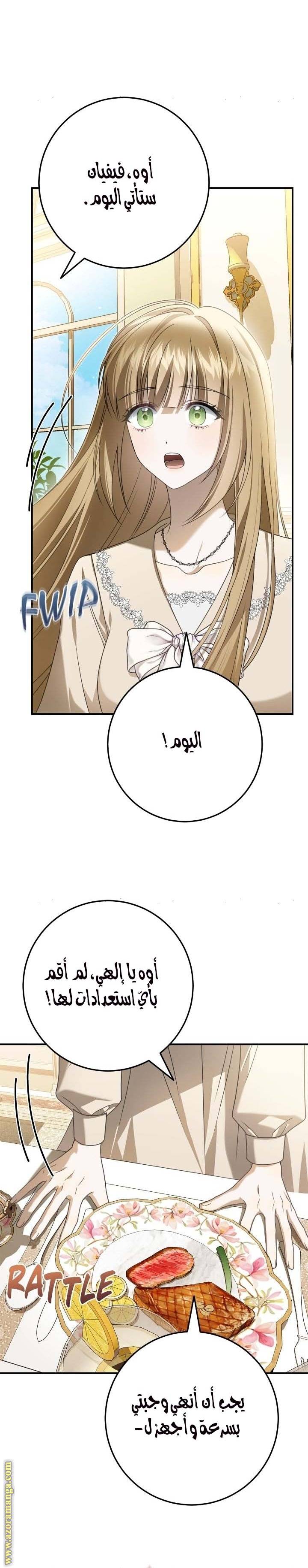 الصفحة 27