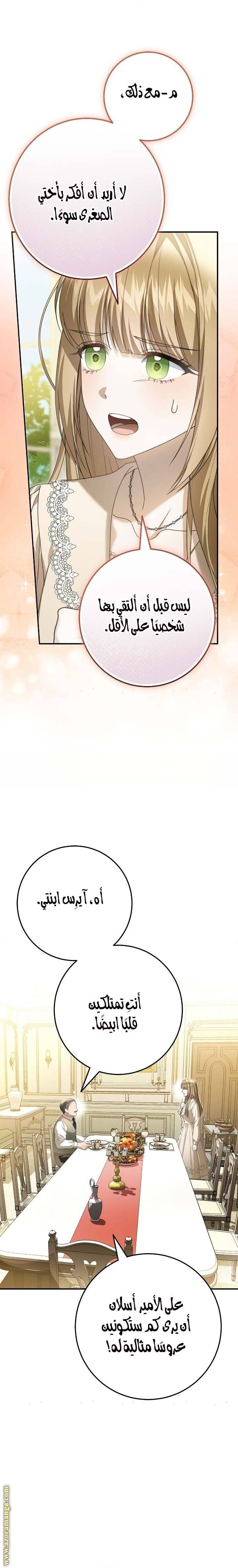الصفحة 29