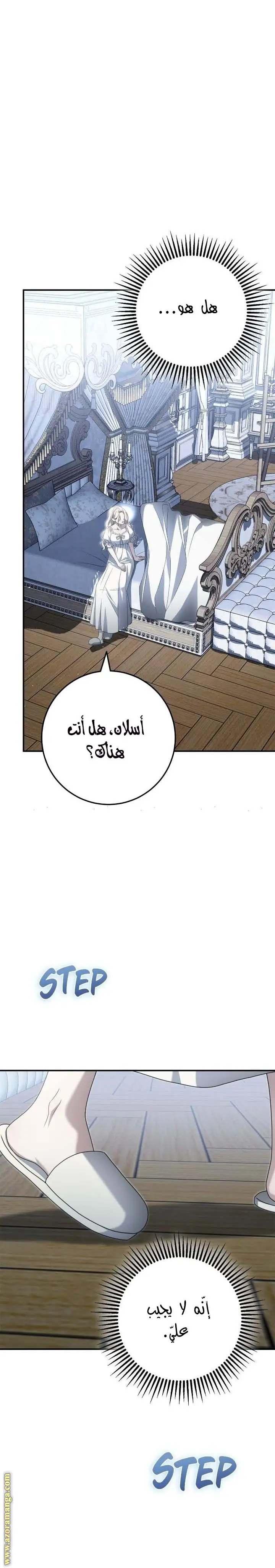 الصفحة 17