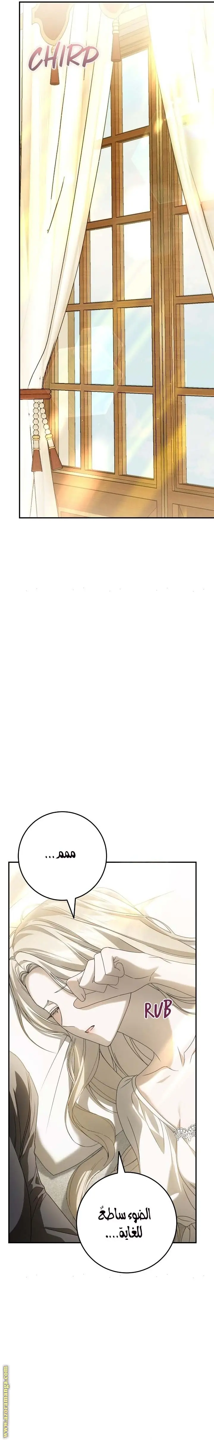 الصفحة 28