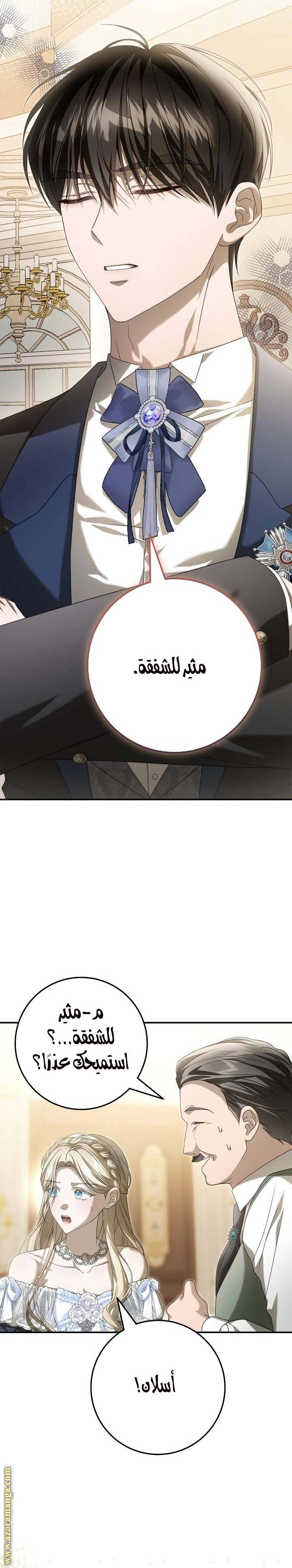 الصفحة 27