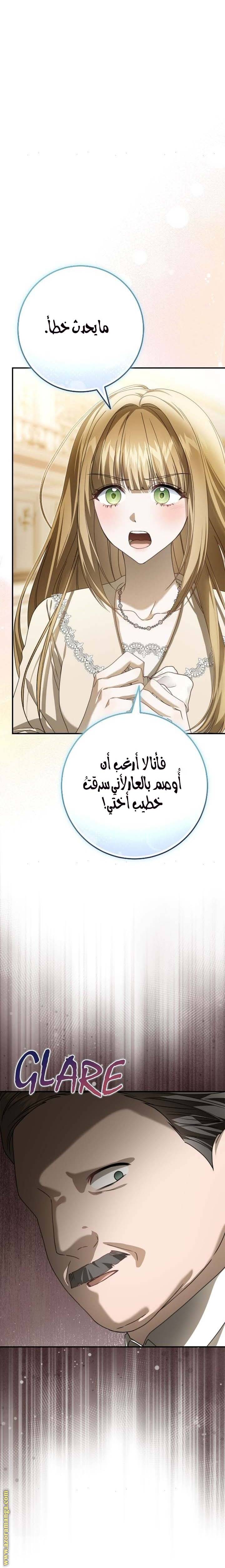 الصفحة 30