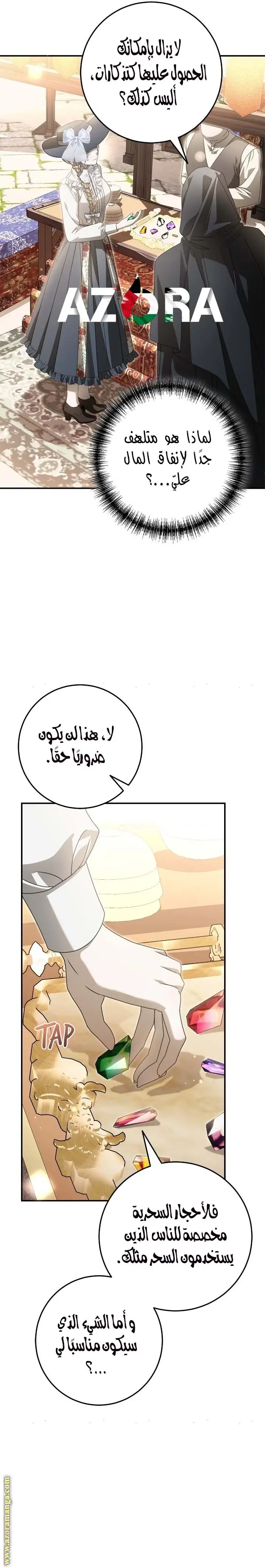 الصفحة 13