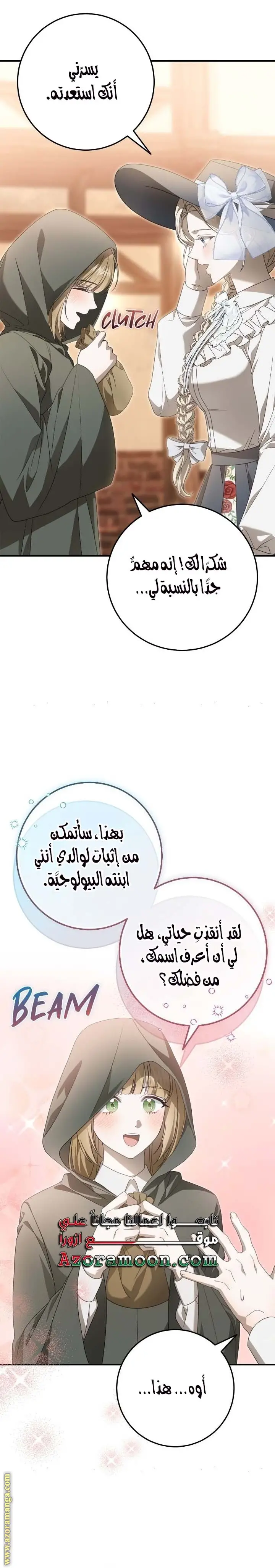 الصفحة 26
