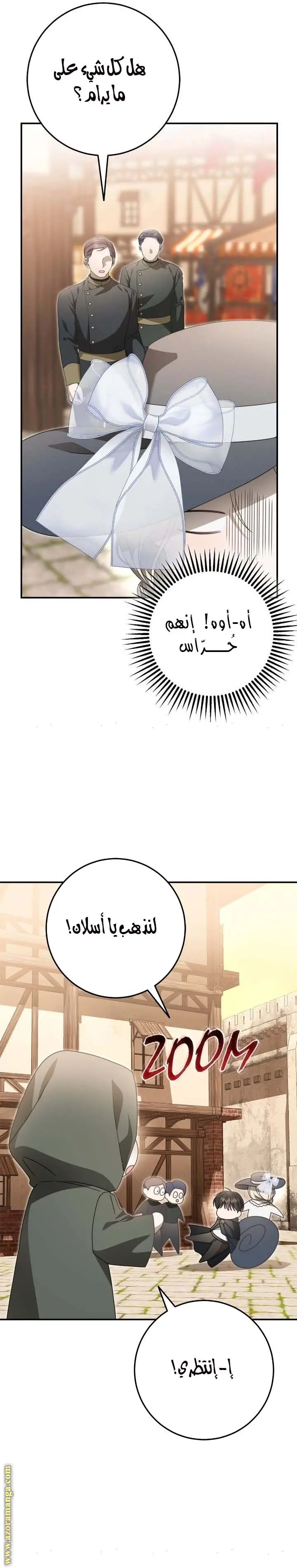 الصفحة 27