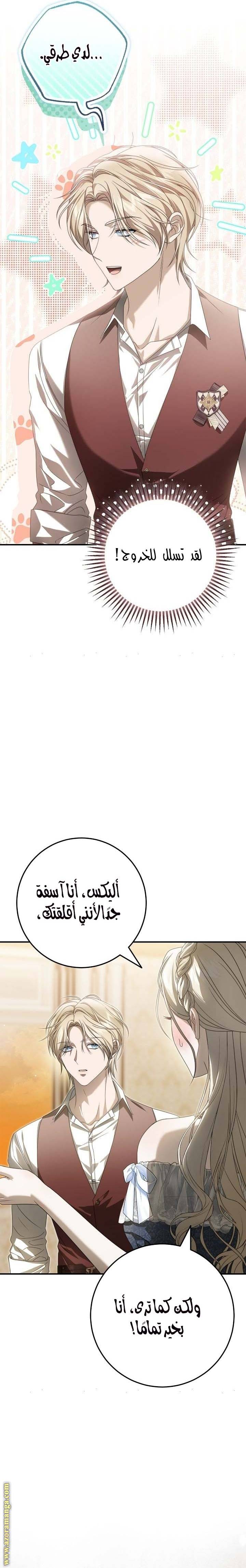 الصفحة 13