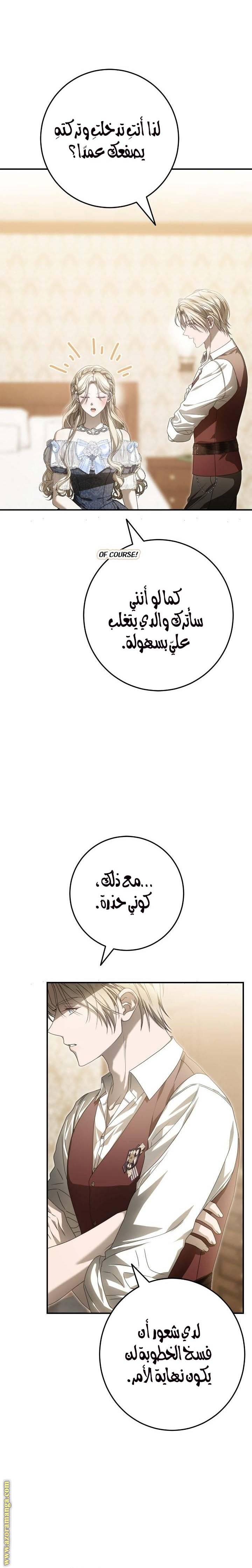 الصفحة 17