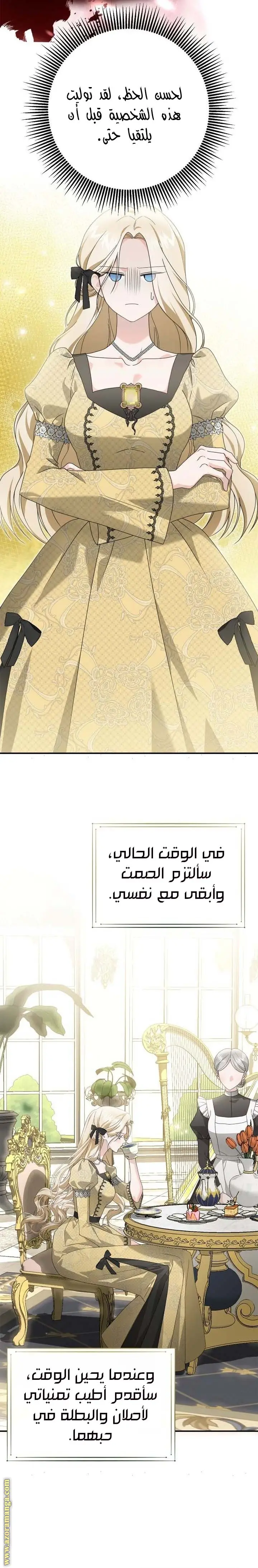 الصفحة 17