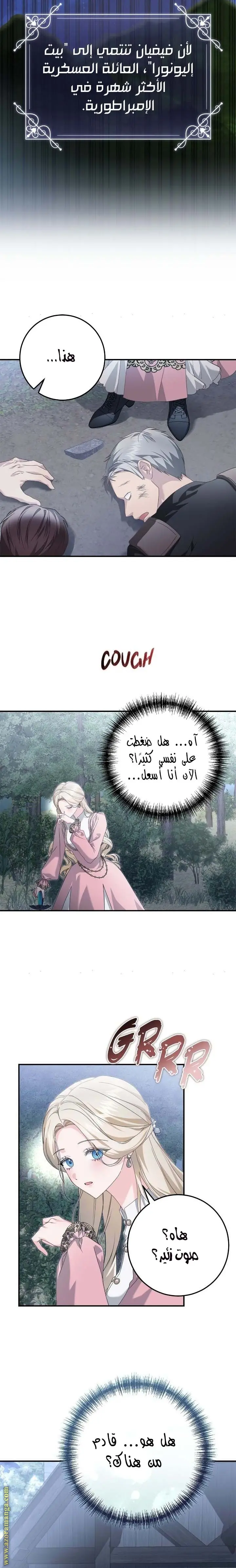 الصفحة 24