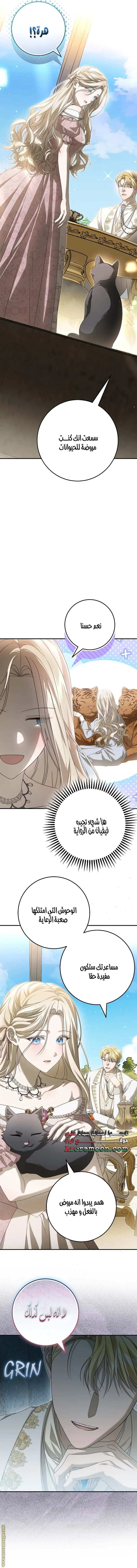 الصفحة 13