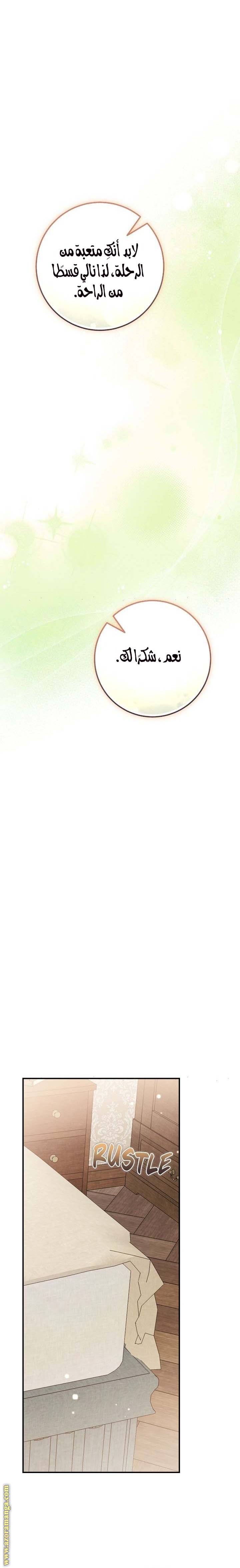 الصفحة 17