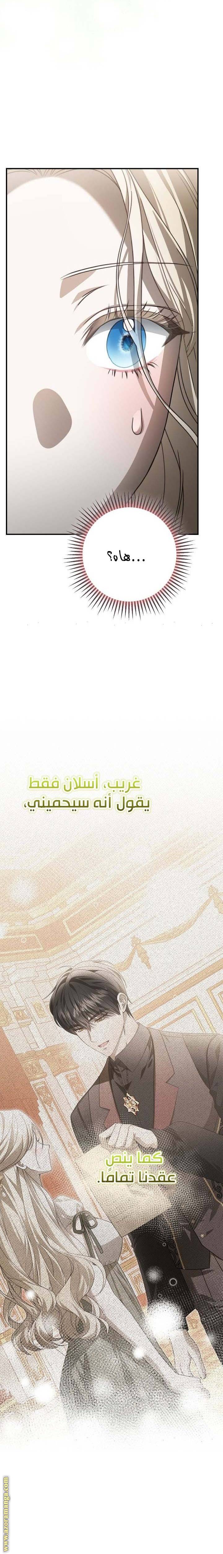 الصفحة 22