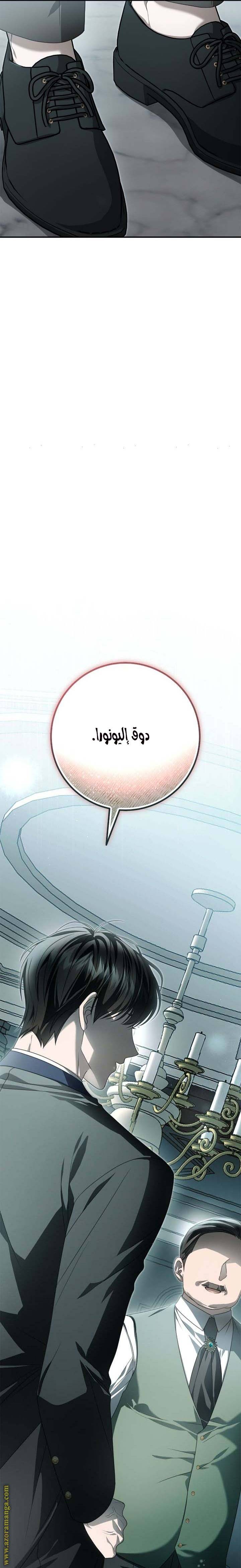 الصفحة 27