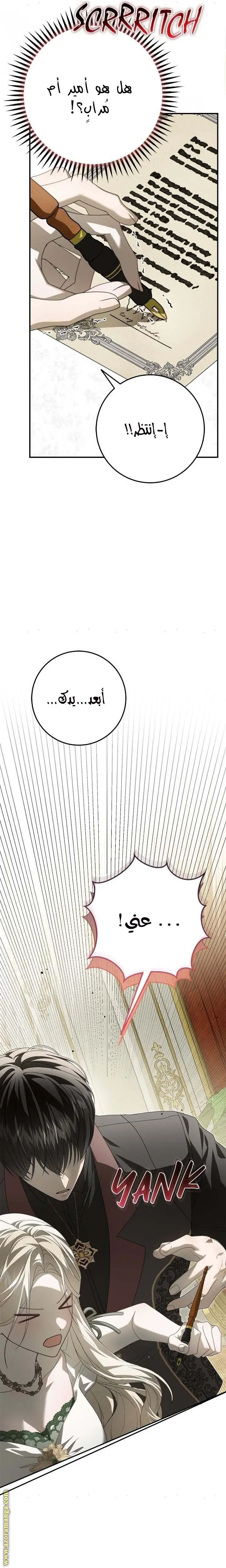 الصفحة 15