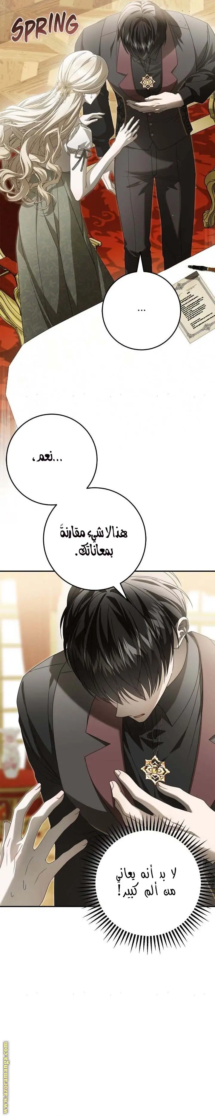 الصفحة 17