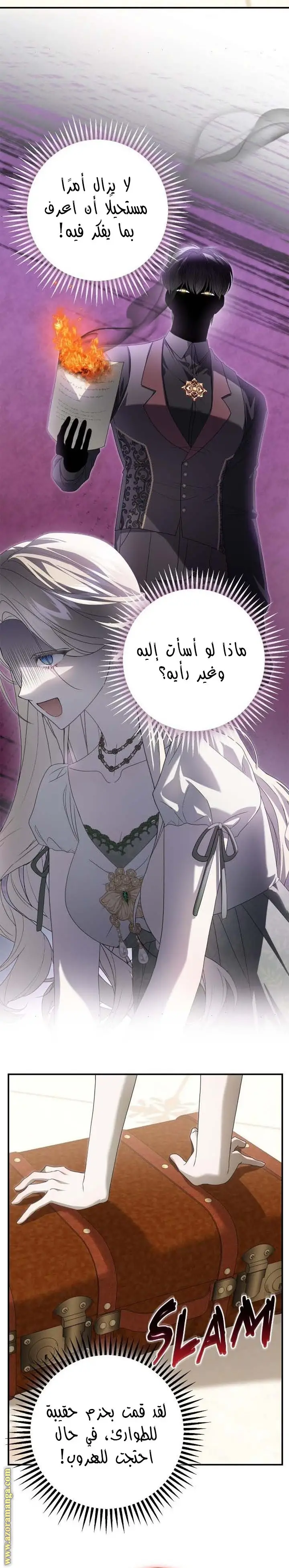 الصفحة 27