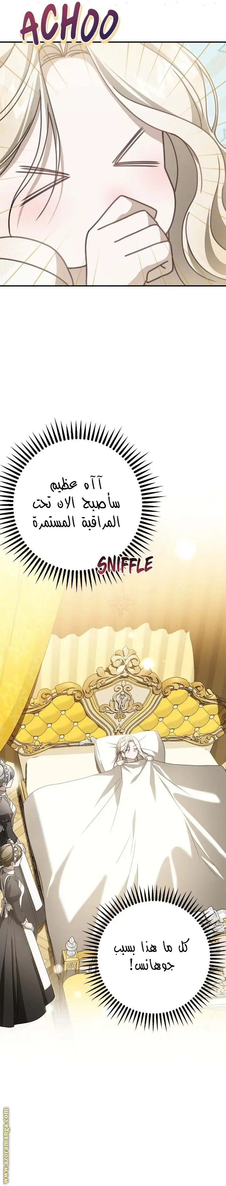الصفحة 18