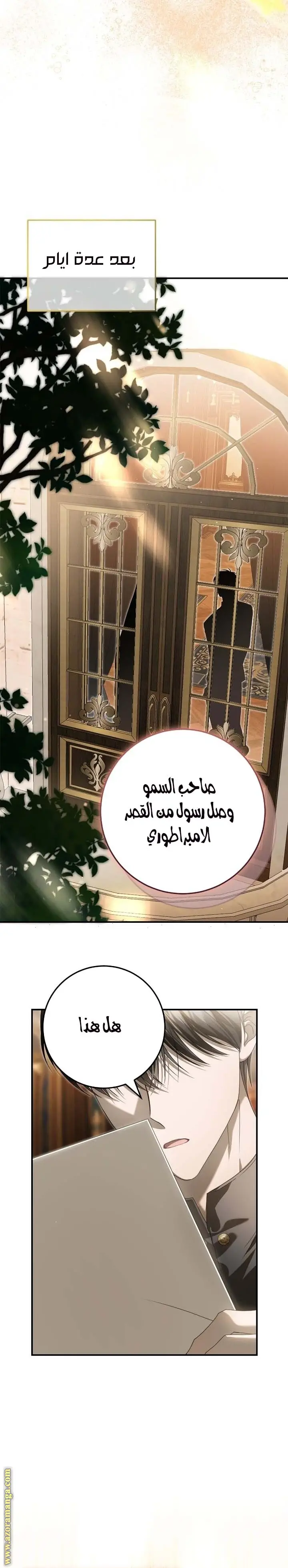 الصفحة 21