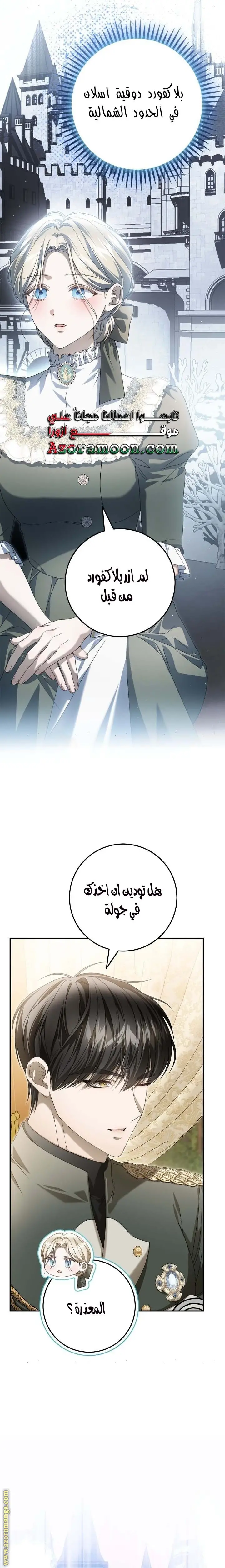 الصفحة 27