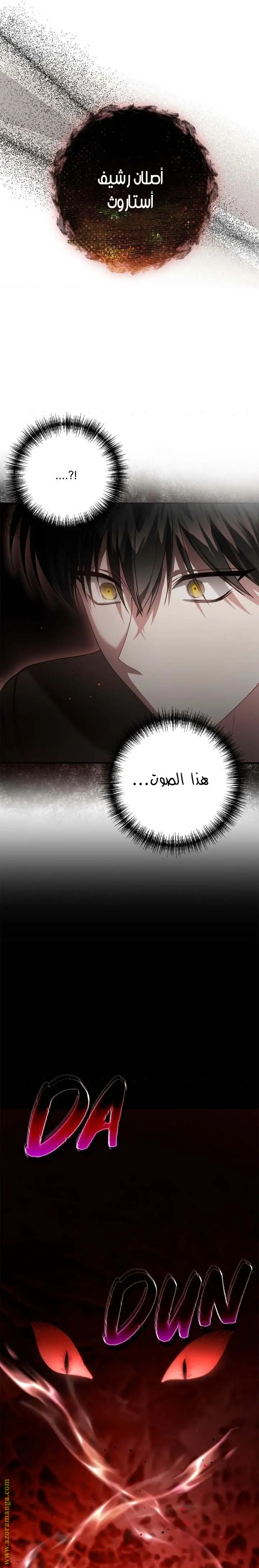 الصفحة 17