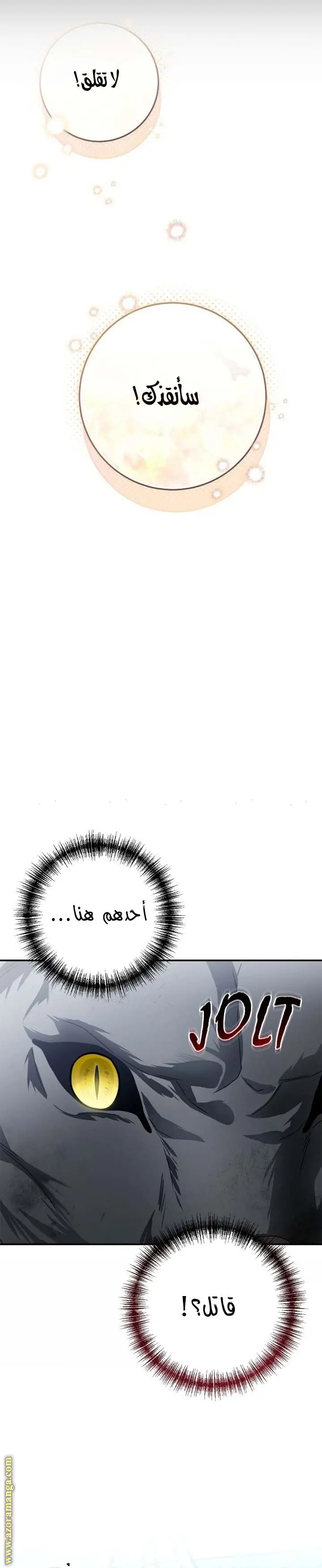 الصفحة 25