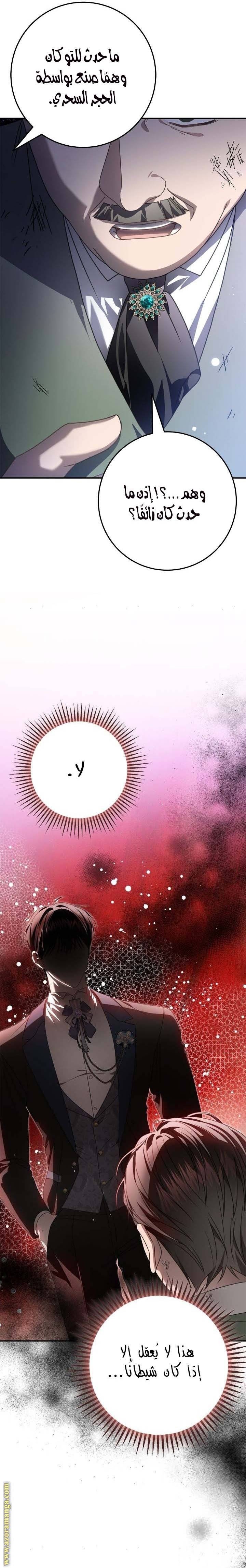 الصفحة 17