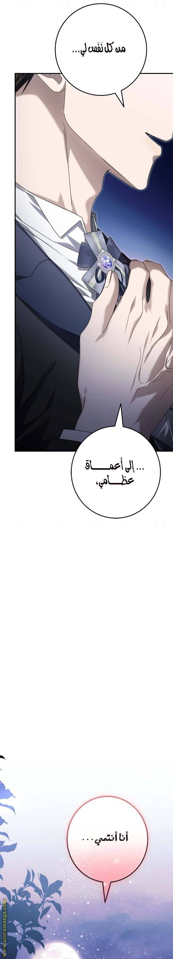 الصفحة 21