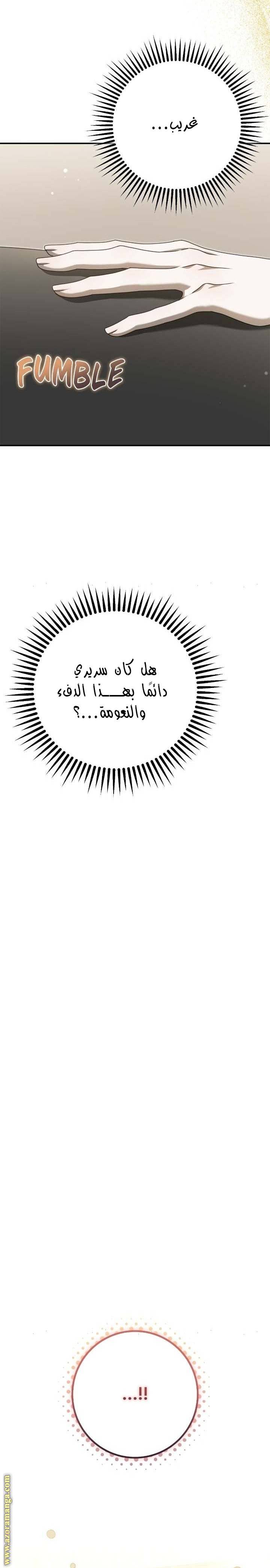 الصفحة 24