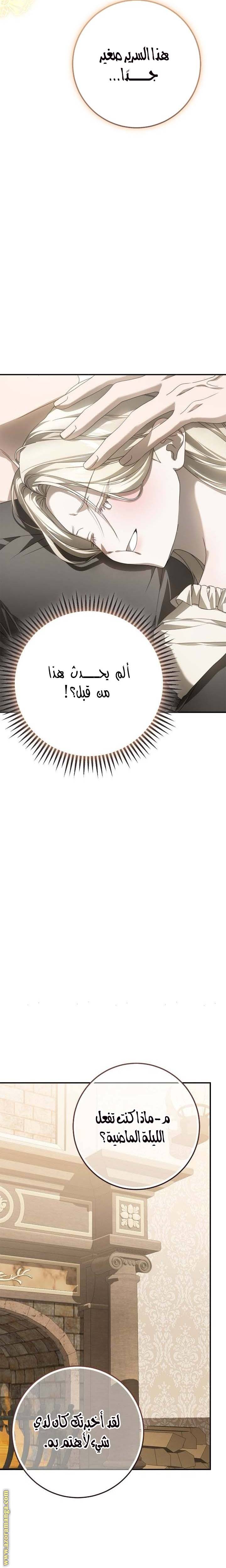 الصفحة 27
