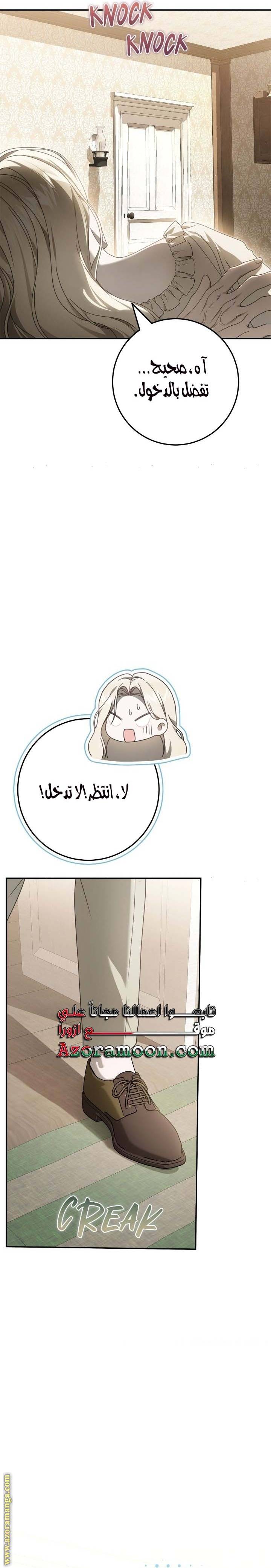 الصفحة 29