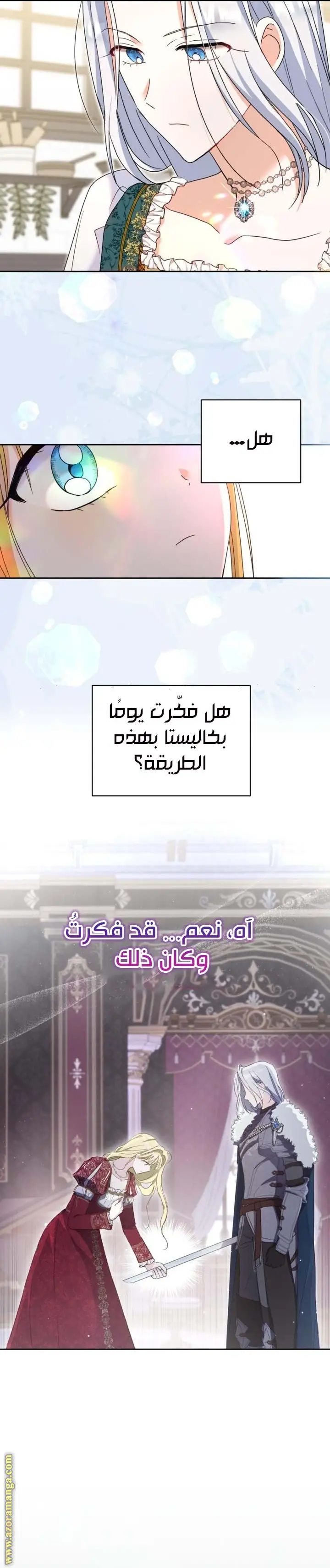 الصفحة 17