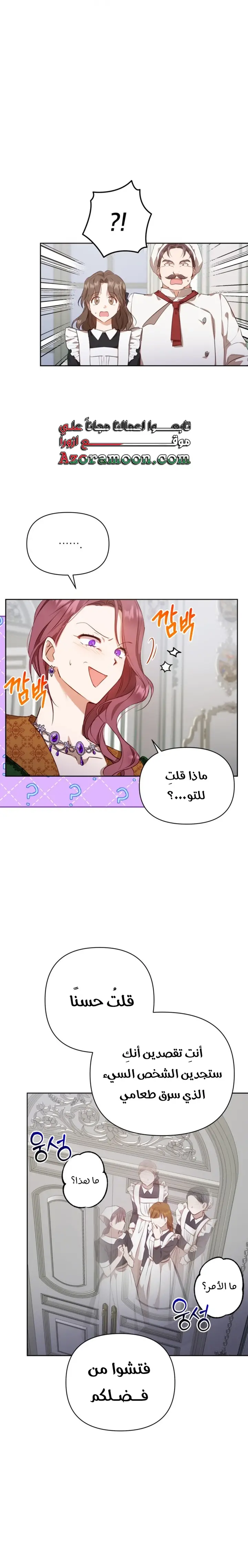 الصفحة 17