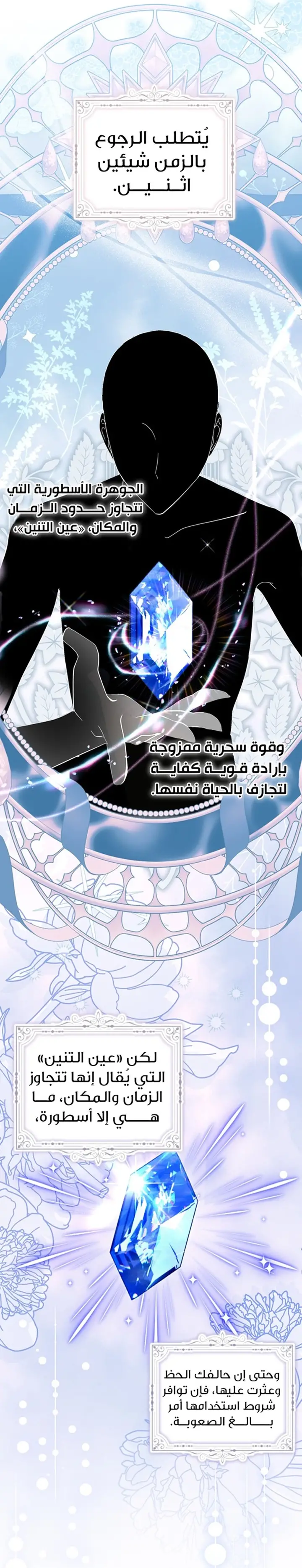 الصفحة 13