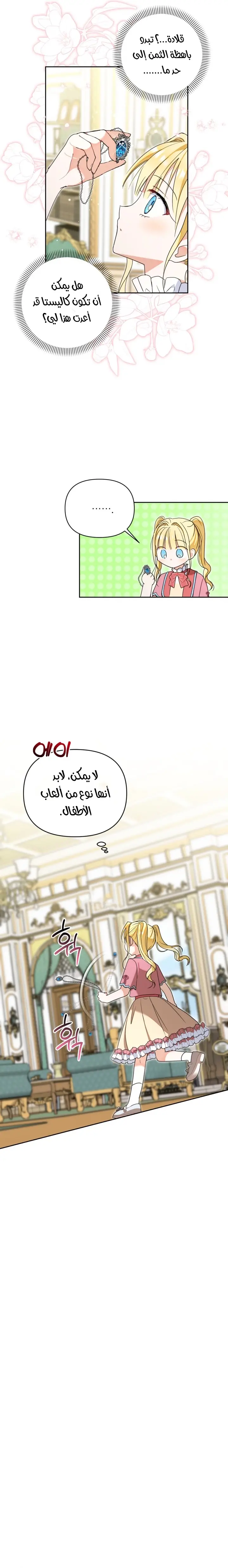 الصفحة 17