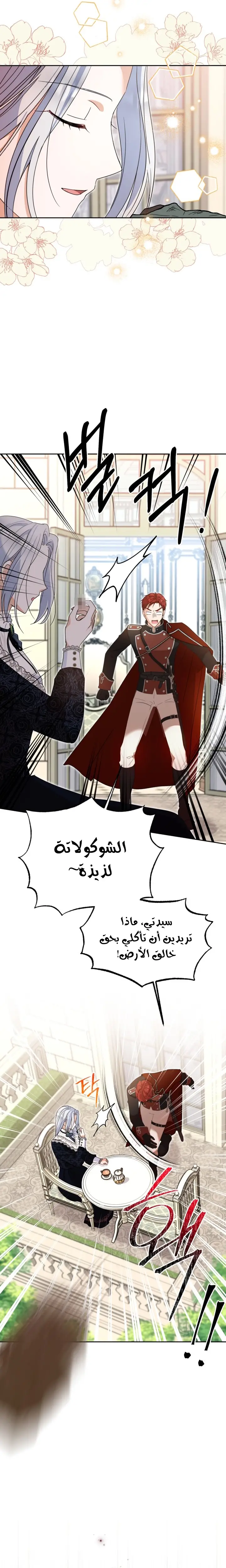 الصفحة 19