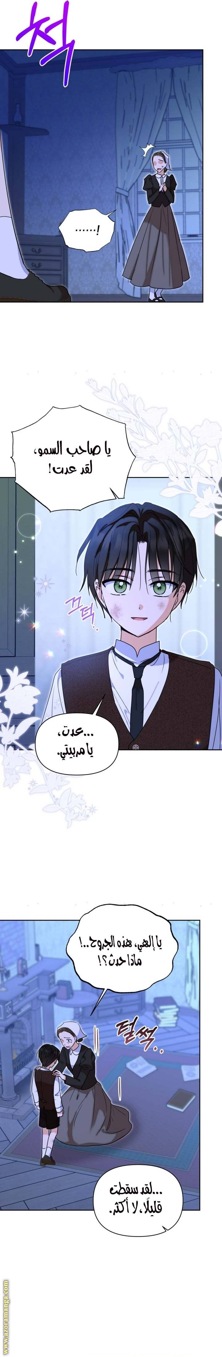 الصفحة 19