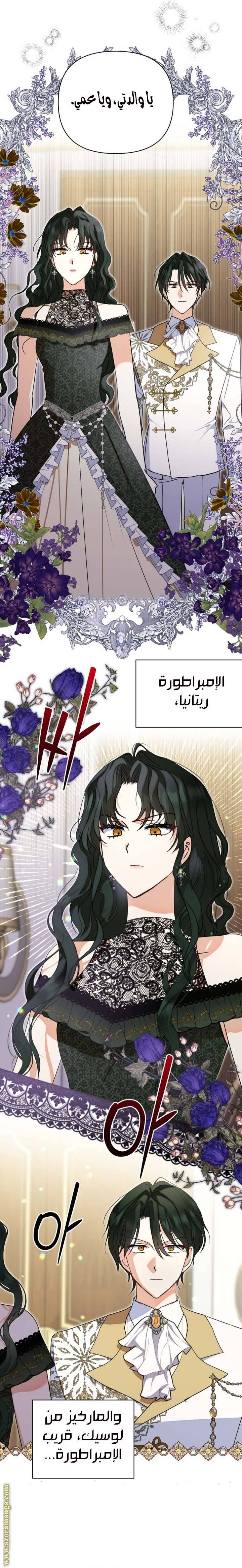 الصفحة 17